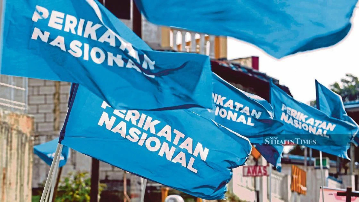 Only Perikatan Nasional Chairman Can Approve Logo Use, Says Pas