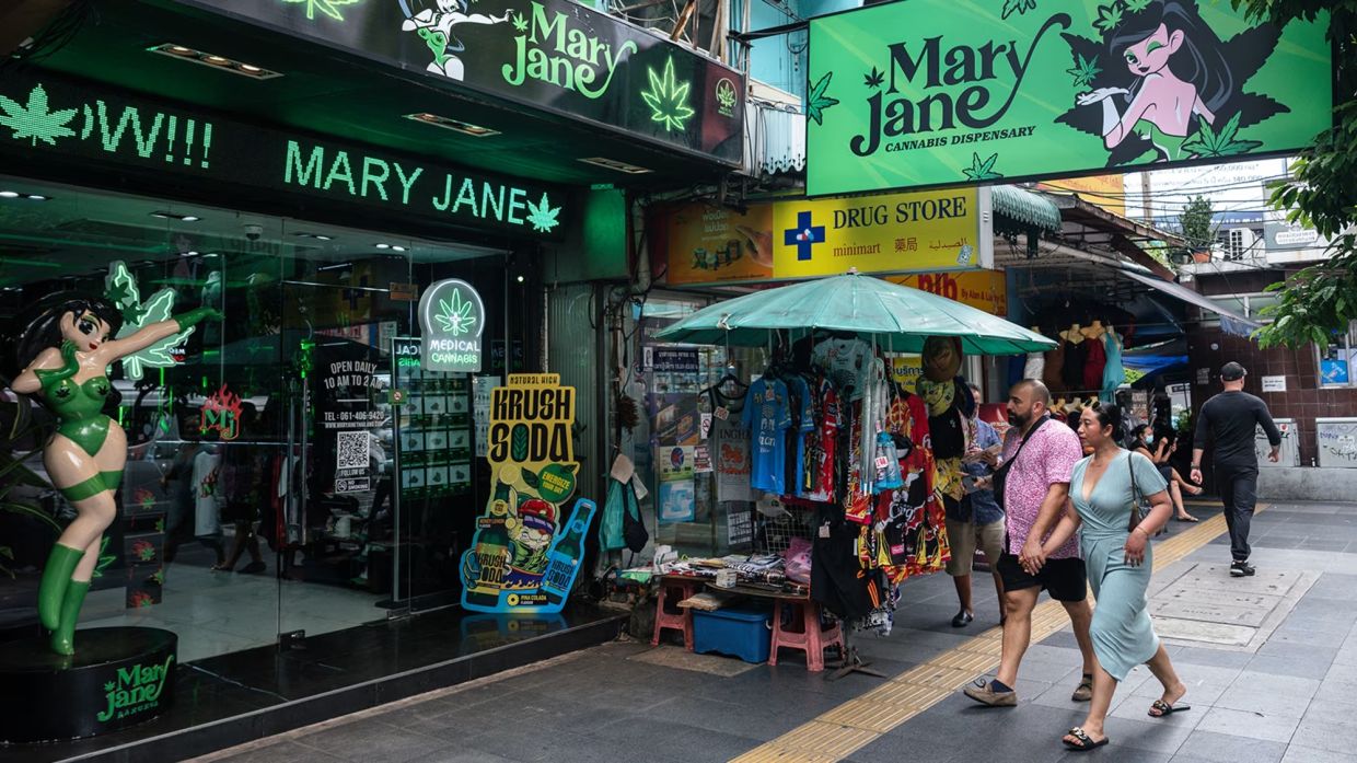 Thailand's Cannabis Governance at Crossroads as Officials Weigh Return to Narcotics List