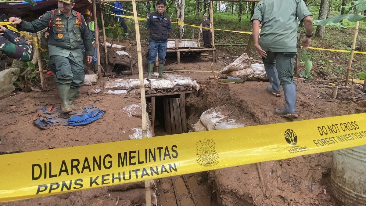Indonesia Charges 24 Foreigners in Major Illegal Gold Mining Crackdown