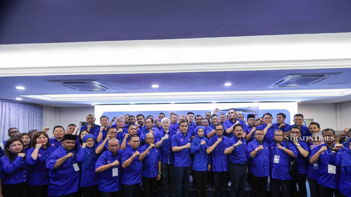 Barisan Nasional fields complete roster of 56 candidates for Johor election