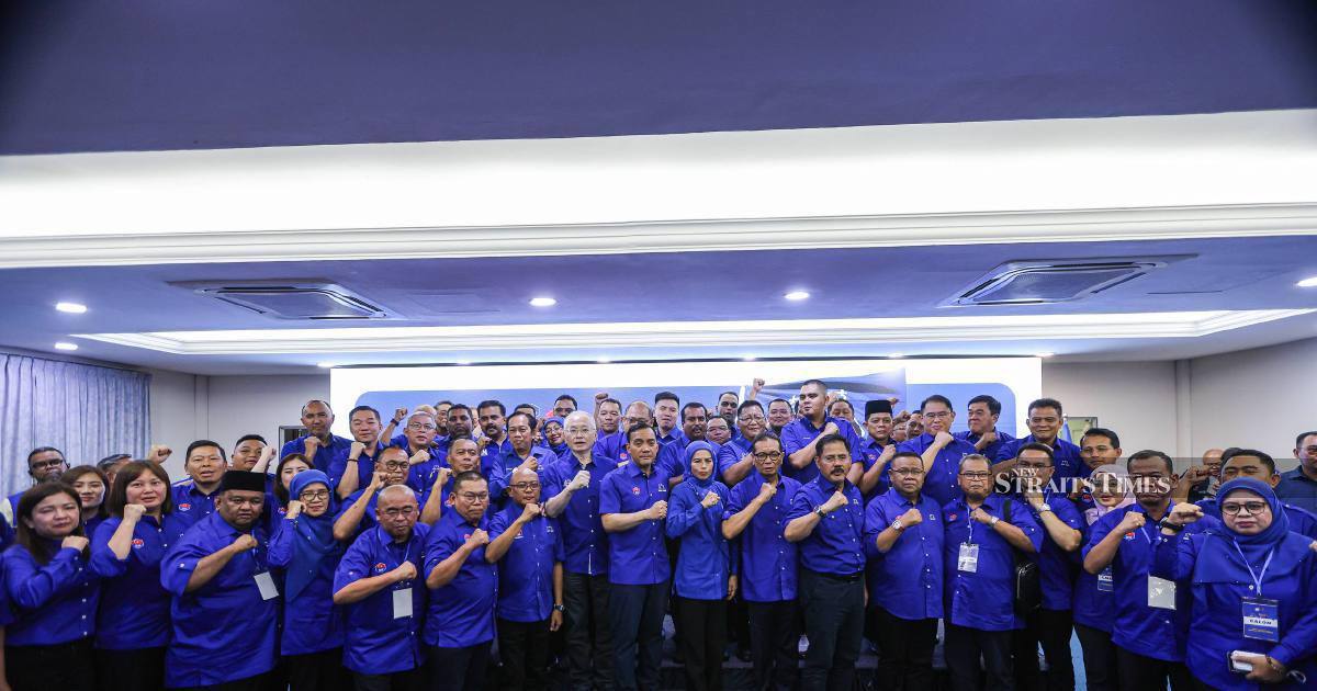 Barisan Nasional fields complete roster of 56 candidates for Johor election
