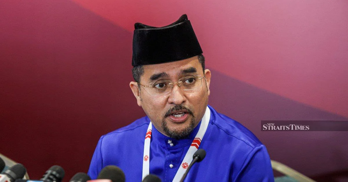 Rigorous screening delayed Johor BN candidate unveiling