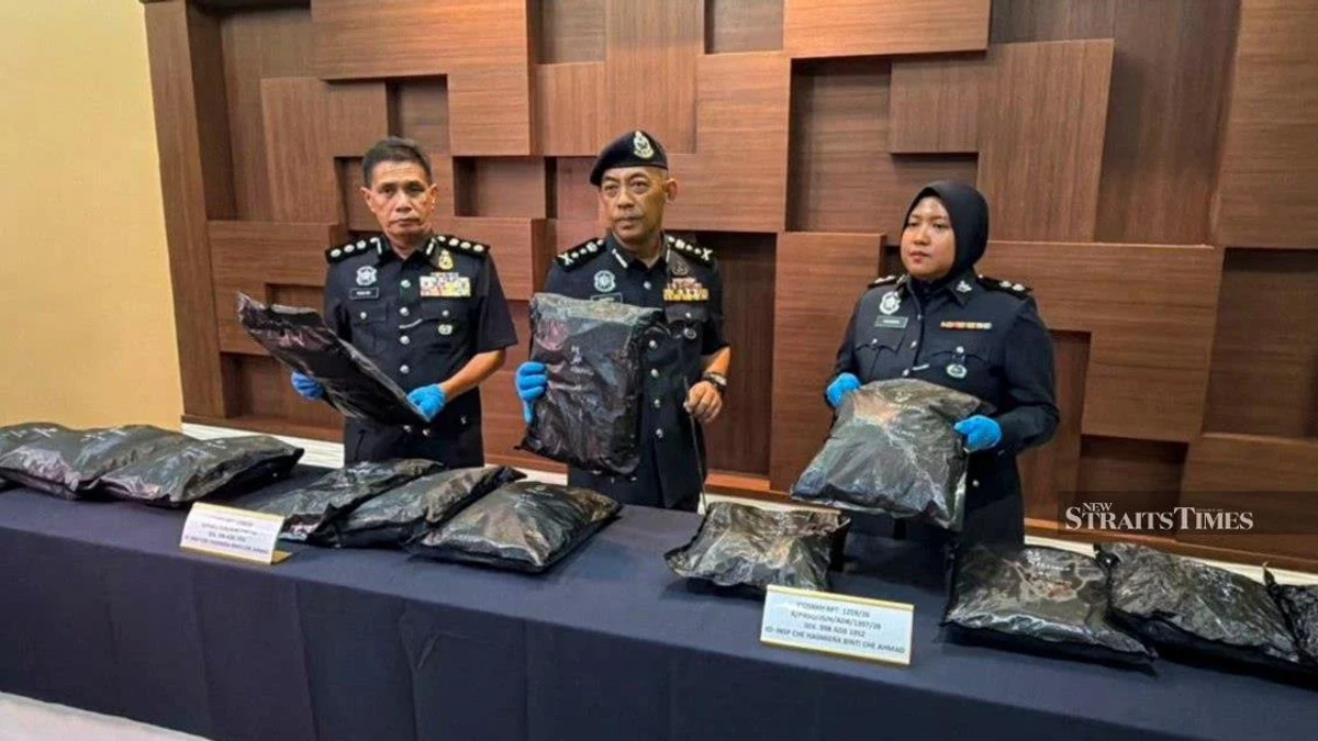 Student Arrested Smuggling RM1.17 Million Cannabis at Bukit Kayu Hitam
