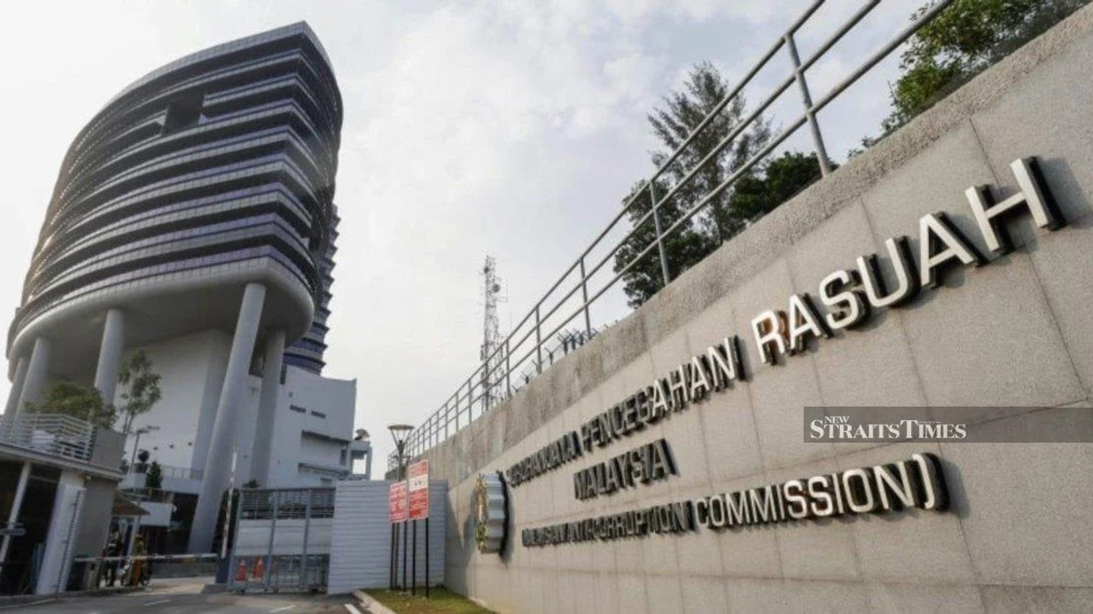 Accountability in the Spotlight: When NGO Leaders Abuse Public Trust