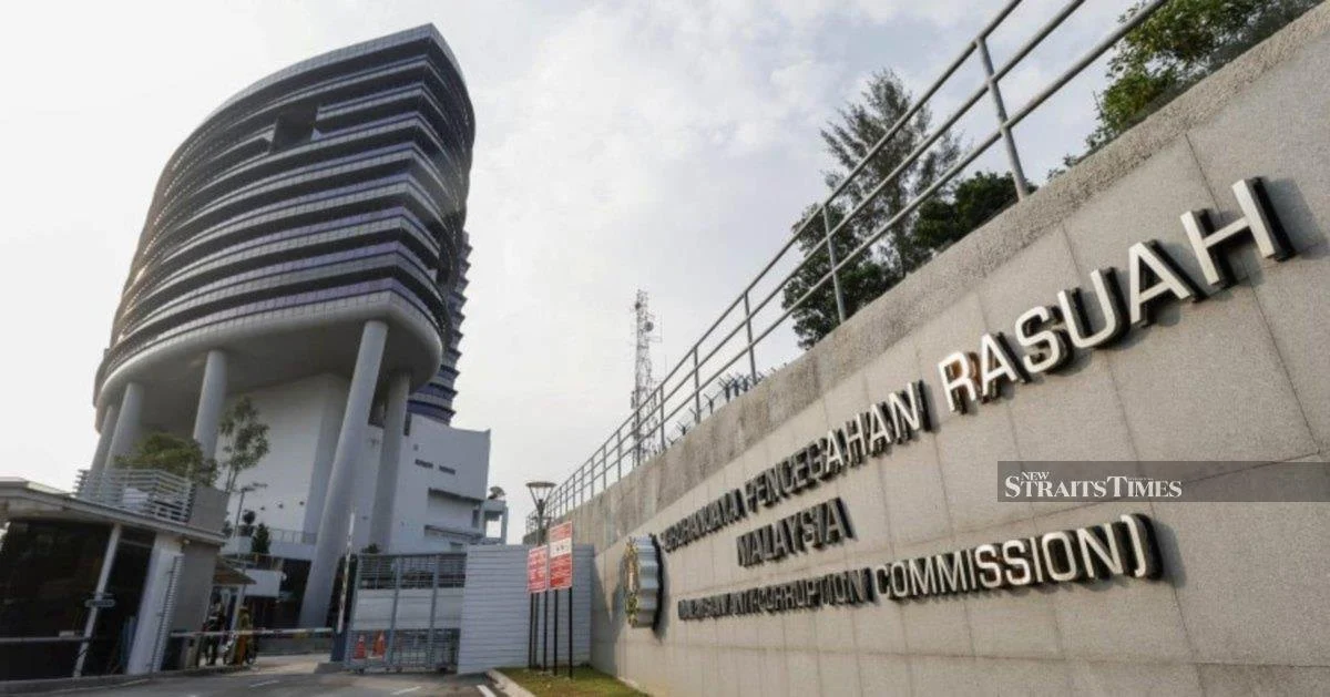 Accountability in the Spotlight: When NGO Leaders Abuse Public Trust