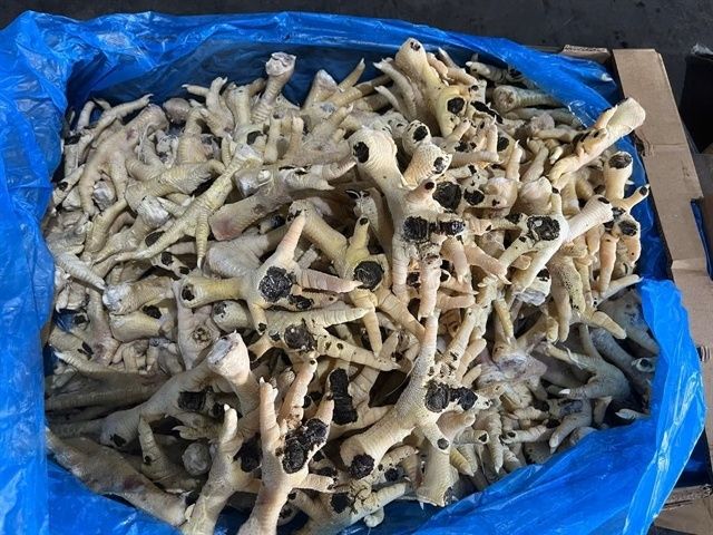 Two Vietnamese women charged in US$13 million chicken feet smuggling scheme