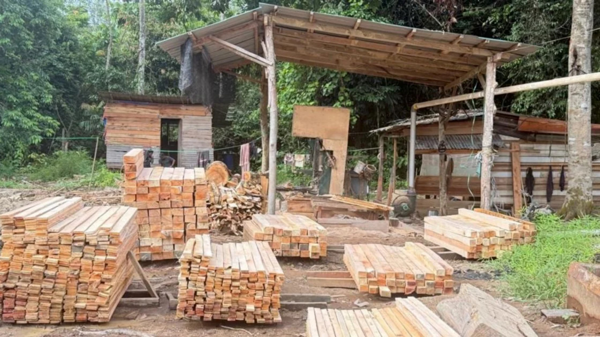 Five arrested as authorities shut down illegal sawmill operation in Gua Musang, seize RM1.69 million in assets