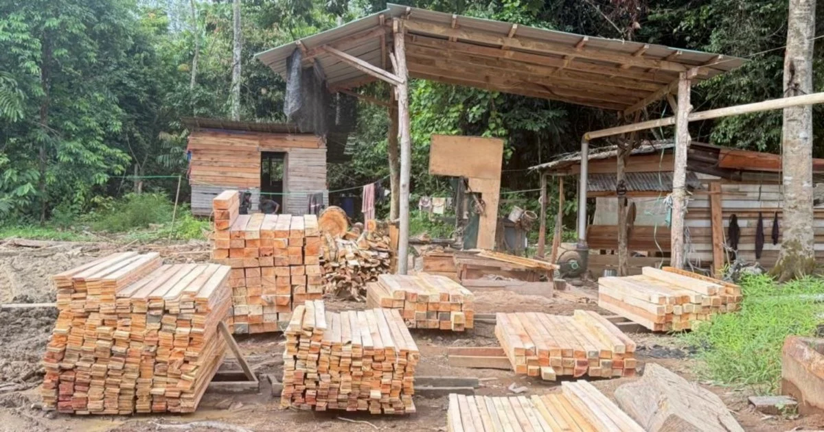 Five arrested as authorities shut down illegal sawmill operation in Gua Musang, seize RM1.69 million in assets