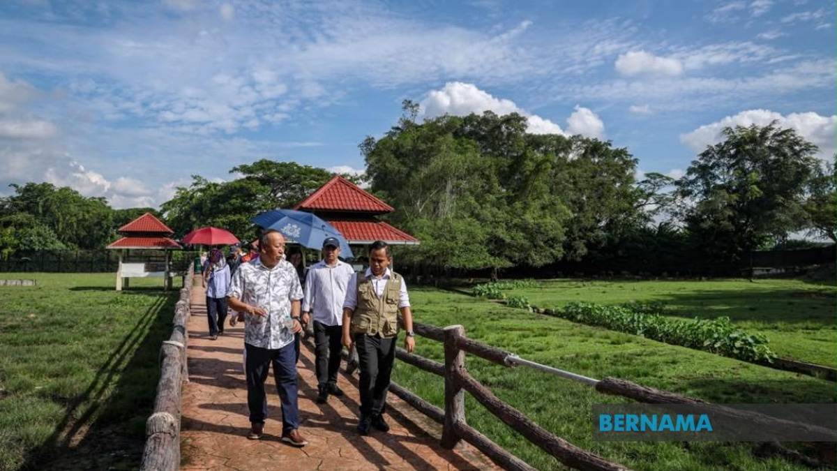Sabah UMNO Deploys Campaign Machine to Support BN in Johor Election