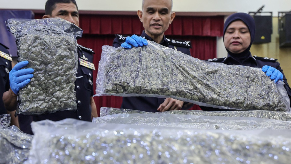Half a Tonne of Cannabis Seized at KLIA as Police Dismantle Major Drug Trafficking Network