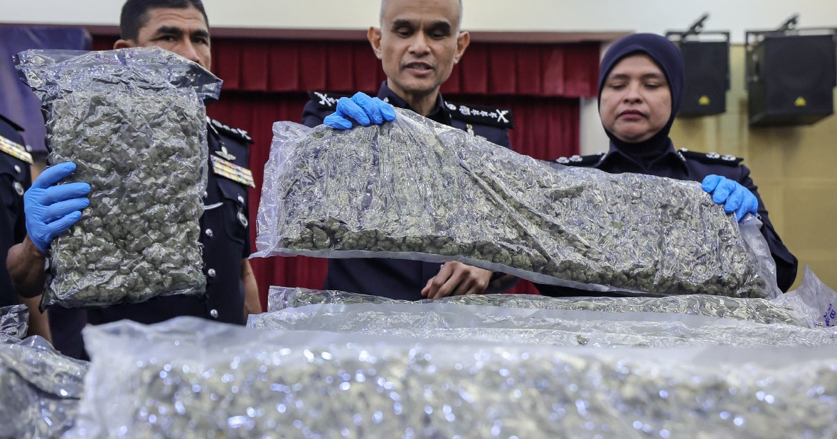 Half a Tonne of Cannabis Seized at KLIA as Police Dismantle Major Drug Trafficking Network