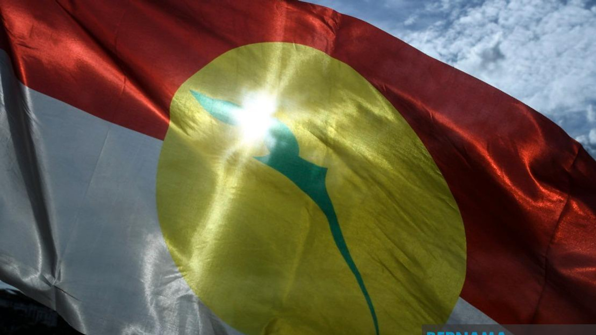 UMNO Members Must Put Party Above Personal Interest in Johor Election, Says Azalina